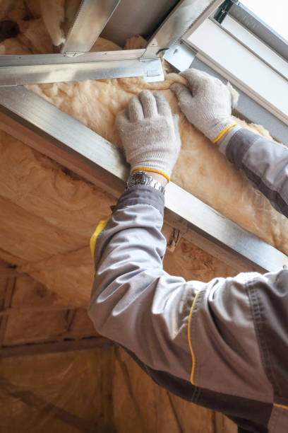 Best Insulation Maintenance and Repair in Mount Carroll, IL
