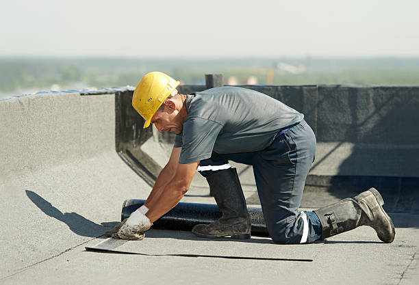 Best Energy Efficiency Solutions in Mount Carroll, IL